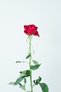 グループ展_作品-1  