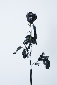 グループ展_作品-9  